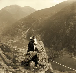 Male Nude Posing on a Rock in a Mountainous Valley